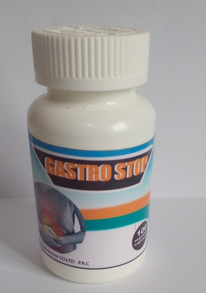 GASTRO STOP — vue 1